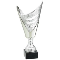 Trofeo 10-11