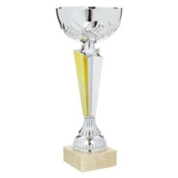 TROFEO ESTRELLA BICOLOR