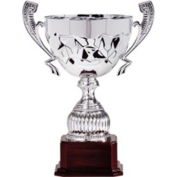 Trofeo Rayo