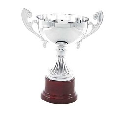 Copa 5091
