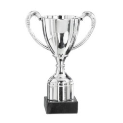 Trofeo deportivo 9-01