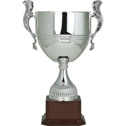 Trofeo 63091
