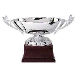 Trofeo Ensaladera