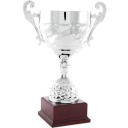 Copa 5058