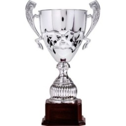 Trofeo 630981