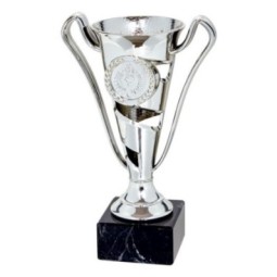 Trofeo Económico Plateado