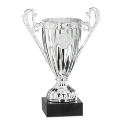 Trofeo 9-11