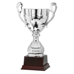 Copa 42-11