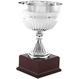 Copa 5088