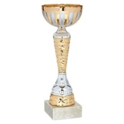 TROFEO CLÁSICO BICOLOR