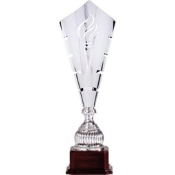 Trofeo Antorcha